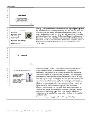 ehrlichia Book