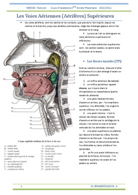 les voies aeriennes superieurs Book