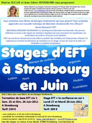maigrir durablement eft Book