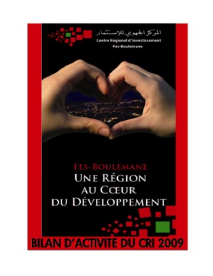 plan d_amenagement fes Book