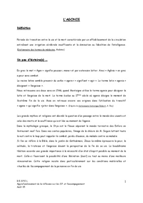 l agonie de la mort apres l agonie de la vie Book