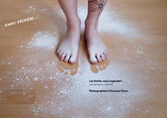 diptyques Book