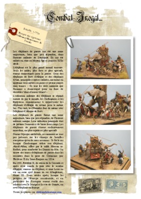 devellopement inegal Book