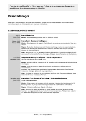 brand manager Book