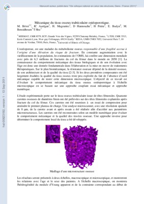 os trabeculaire Book
