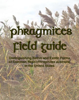 phragmites Book