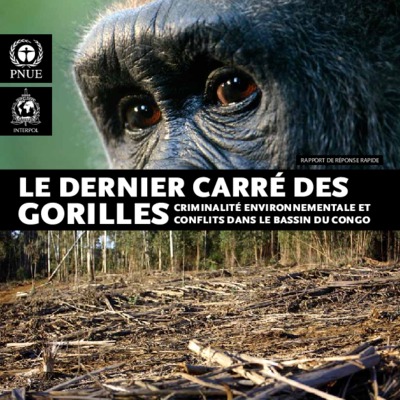 gorilles Book