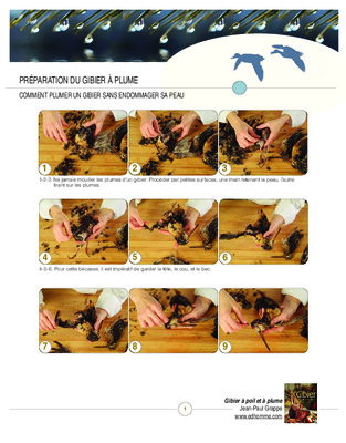 elevage du gibier a plume Book