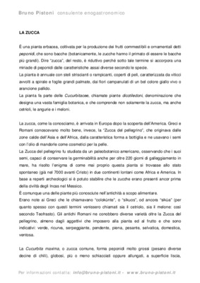 cilindri e pistoni Book