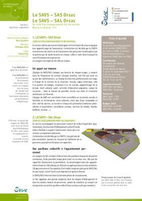 cesf en savs Book