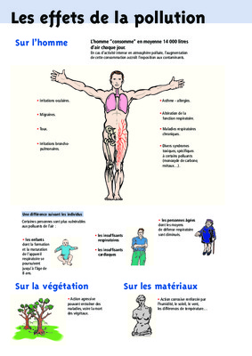 pollution dans des bibon ville Book