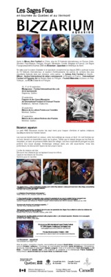 pierre oeil de tigre signification Book