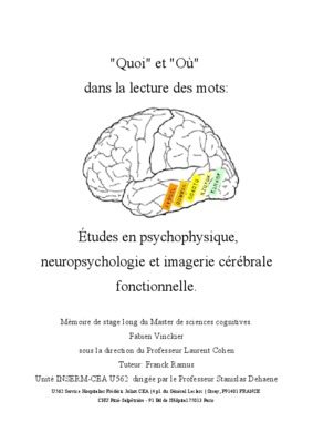 introduction jpsychologie cognitive Book
