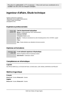ingenieur d affaire Book