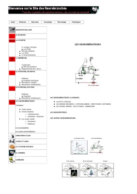 neuromediateurs Book