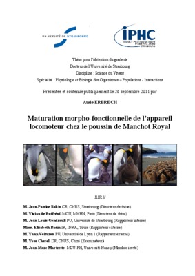 maladie de l_appareil locomoteur chez le mouton Book