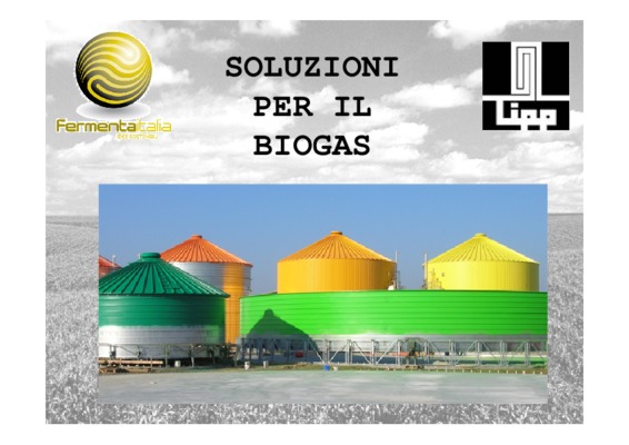g3412c biogas Book