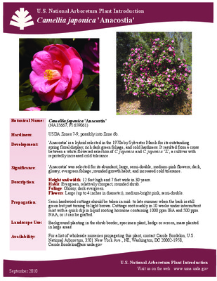 camellia Book