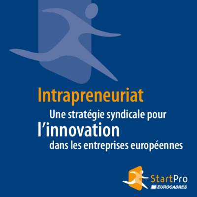 intrapreneuriat dans les etablissemnts bancaires Book