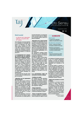 stricto sensu Book