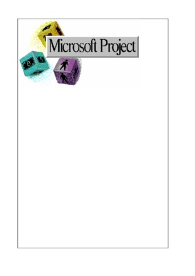 metrise ms project 2003 Book