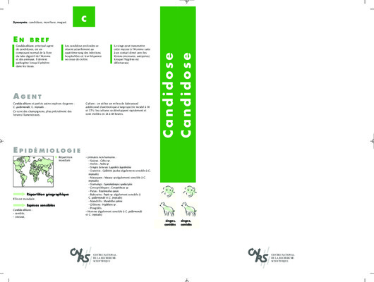 candidose Book