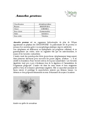 abstract amoeba bacteria interaction Book