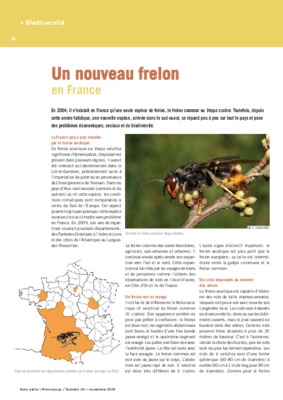 crabro Book