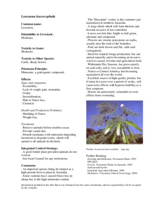 leucoena leucocephala Book