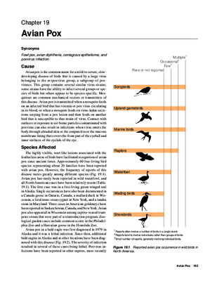 libya oil field Book