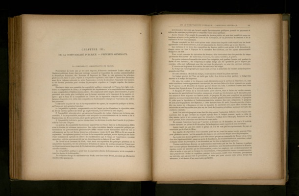brumeux Book