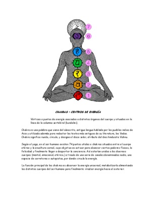 chakras centros energeticos Book