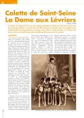levriers Book
