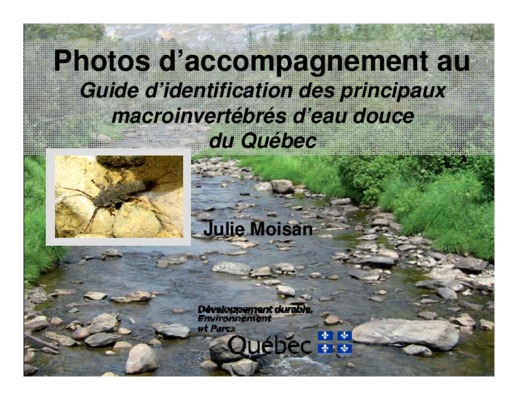 macroinvertebres Book