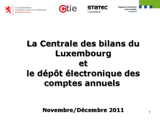 depot des bilans Book