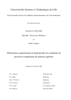 amiguet Book