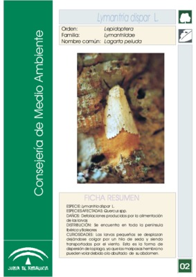 les degat de lymantaria dispar Book