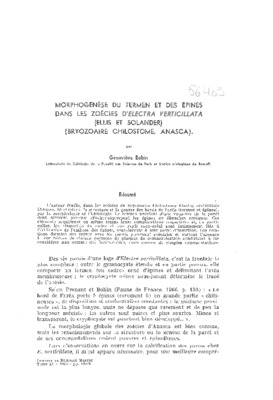 epines Book