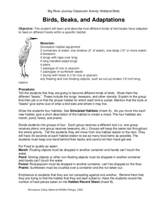 beaks Book