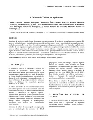 laminas dos tecidos Book