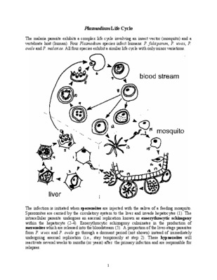 plasmodium cycle de vie Book