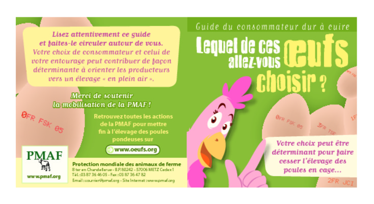 comment elever les pondeuses Book