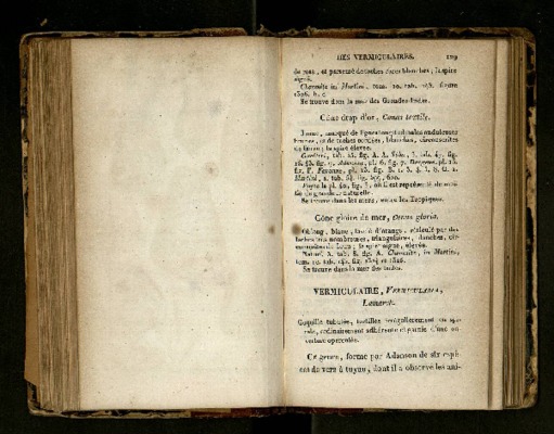 evolution ammonite Book