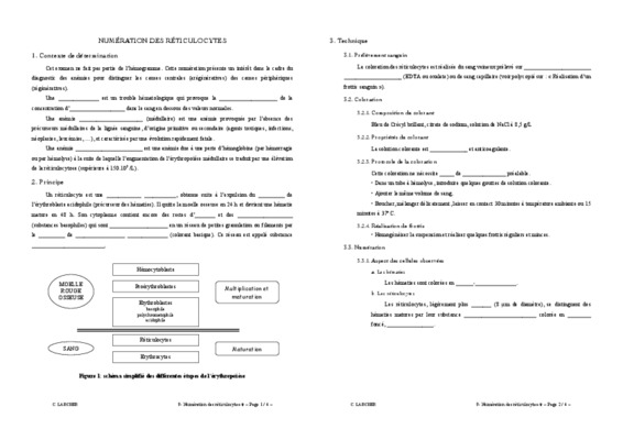 es reticulocytes Book