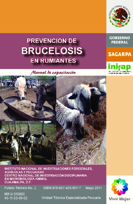rumiantes Book