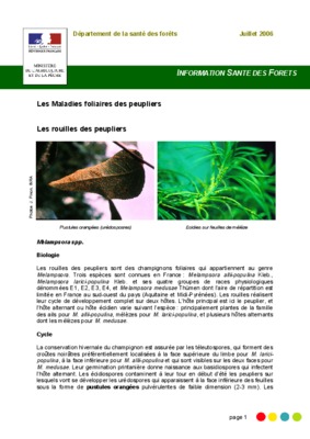 peupliers Book