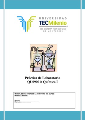 practica de laboratorio Book