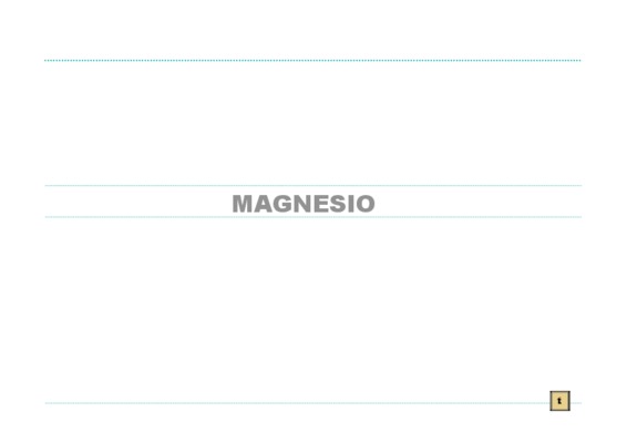 nomenclatura tradicional del magnesio Book