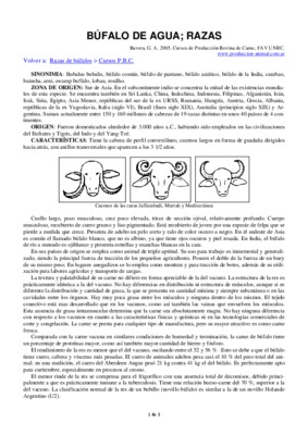 bufalo 400x Book