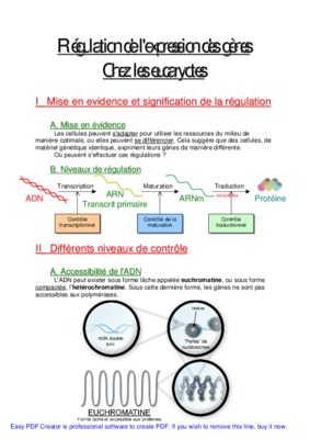 regulation transcription chez les eucaryotes Book